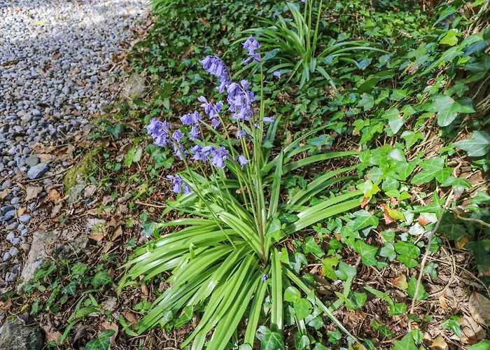 Dun Na Ron Сasa de vacaciones